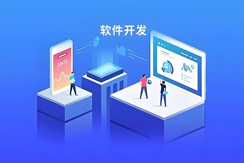 软件定制开发：构建独一无二的应用生态